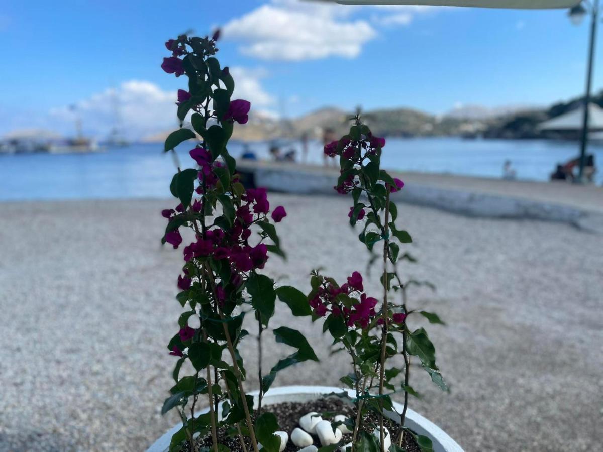 شقة Ονειρόπετρα Λέρος~Oneiropetra Leros Panteli المظهر الخارجي الصورة